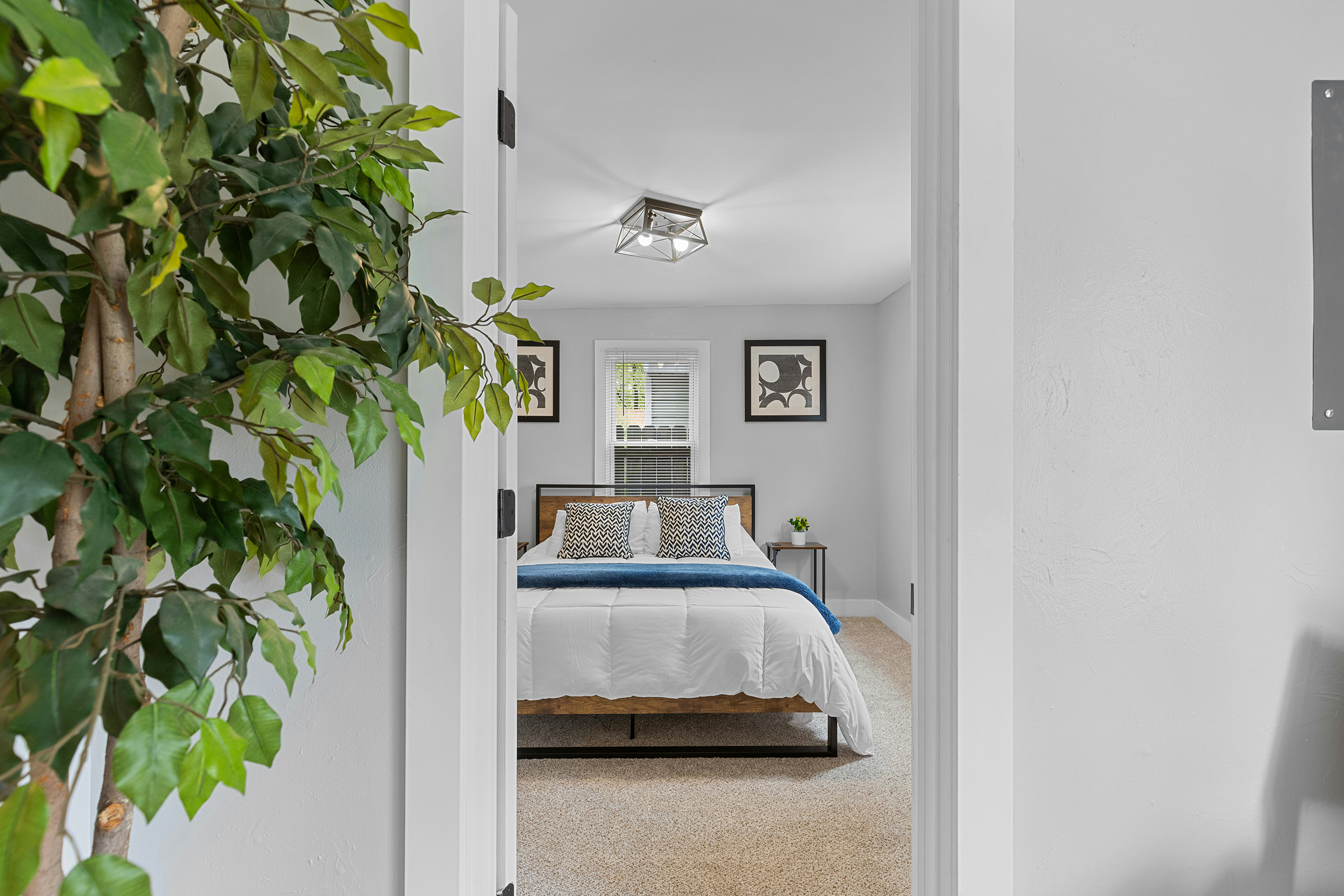 Prenájom a správa apartmánov